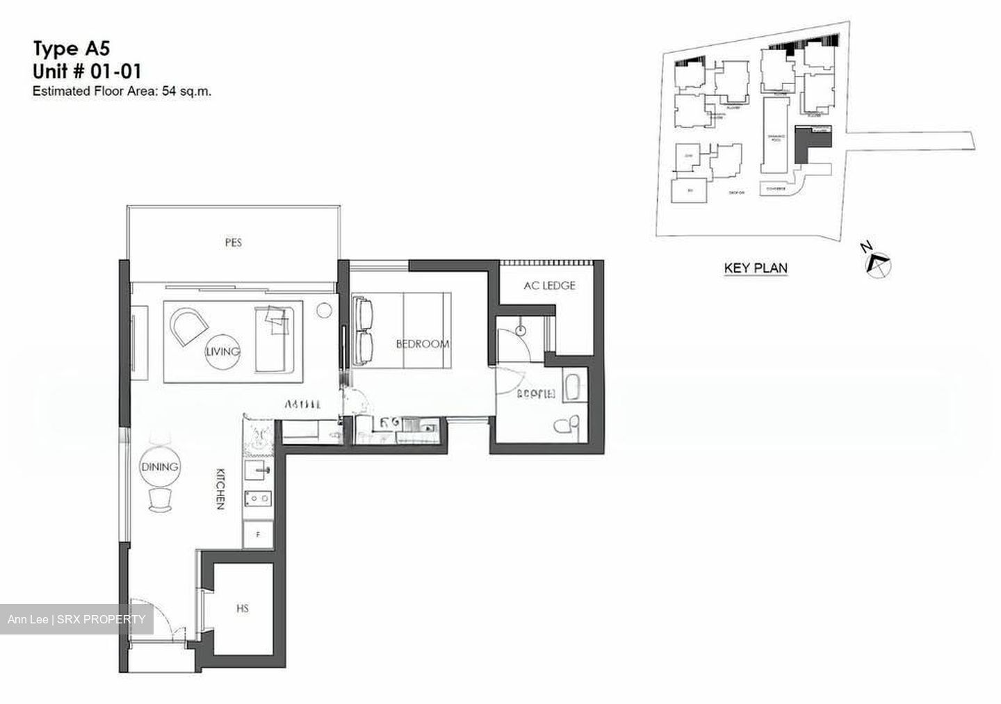 10 Evelyn (D11), Apartment #553481851
